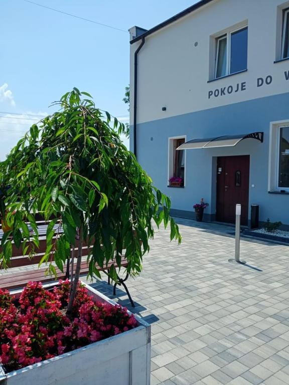 Aparthotel Pod Kogucikiem Krzyzanowice Esterno foto